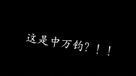 带海字的最新网名探索，启示与灵感