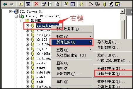 管家婆一码一肖一种大全,数据解答解释定义_纪念版73.833