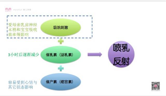 今晚上一特中马澳门,理论分析解析说明_手游版62.864