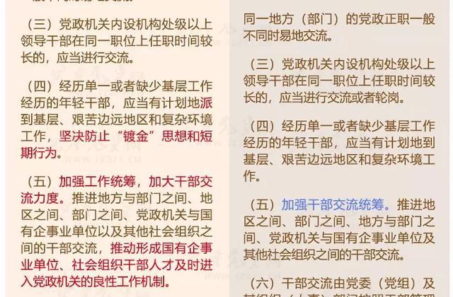 濠江论坛精准资料大全,确保成语解释落实的问题_win305.210