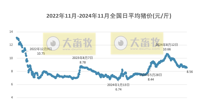 今日灵宝猪价更新，市场走势及影响因素深度解析