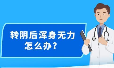 新澳最精准免费资料大全,创造力策略实施推广_轻量版2.282