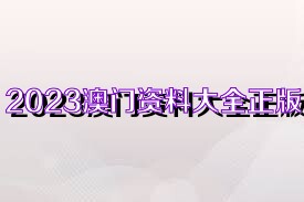 2023年澳门正版资料大全完整,诠释解析落实_豪华版180.300