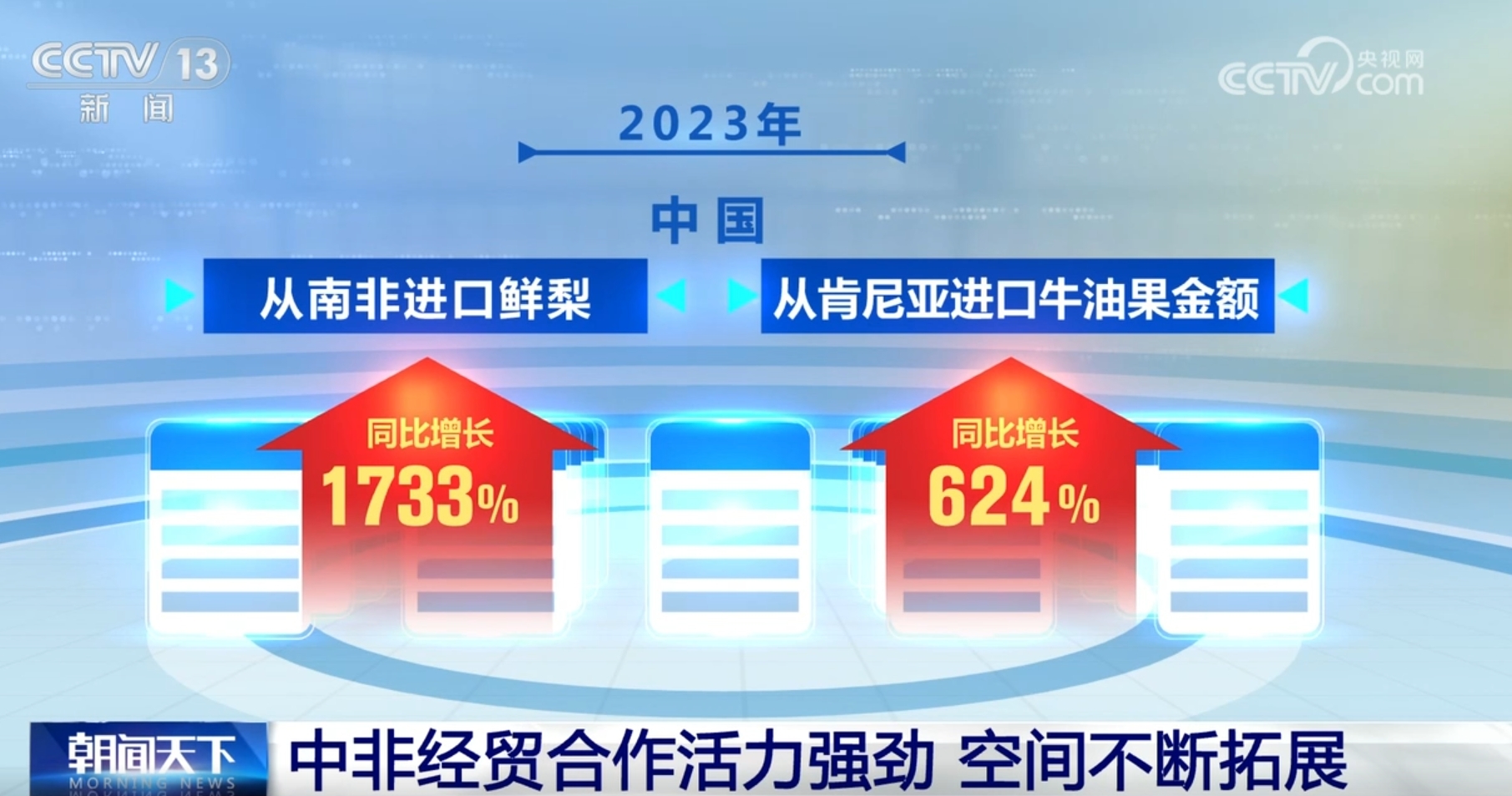 2024年11月17日 第50页