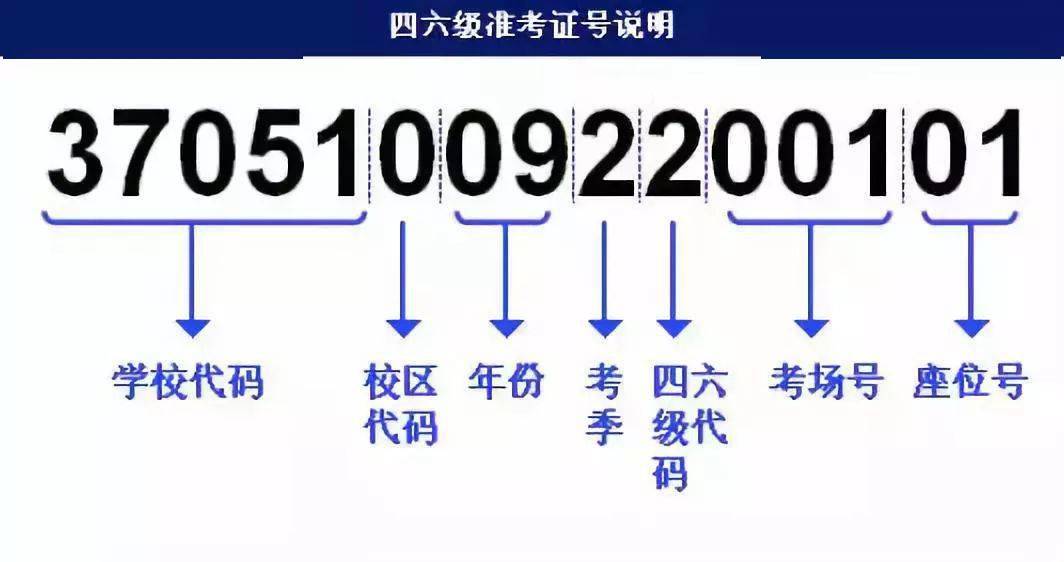 2024新澳门今晚开奖号码和香港,迅速落实计划解答_Holo73.112