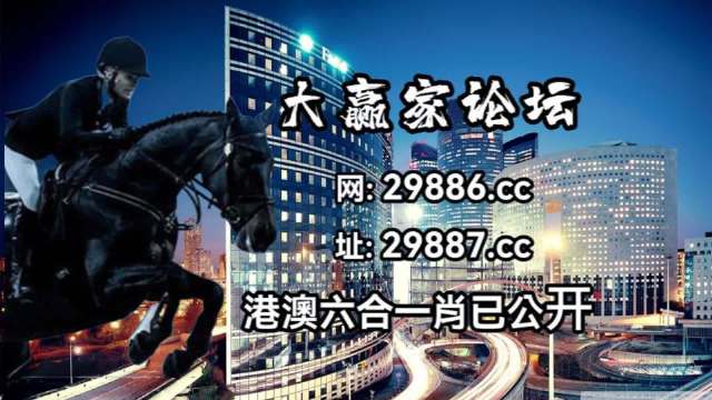 2024年11月18日 第41页