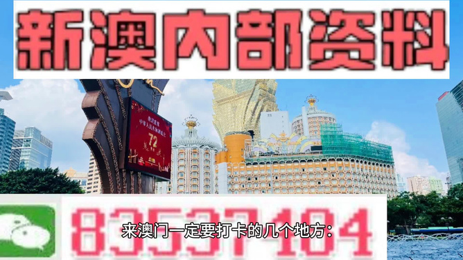 2024年新澳门王中王免费,诠释分析定义_超值版29.956