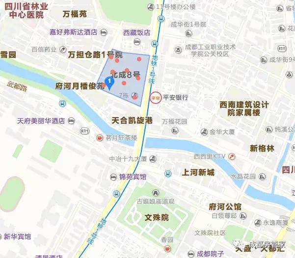 成都摇号买车政策调整与市场动态分析最新消息