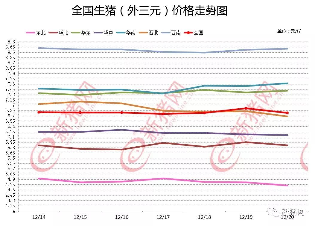 最新生猪价格行情解析