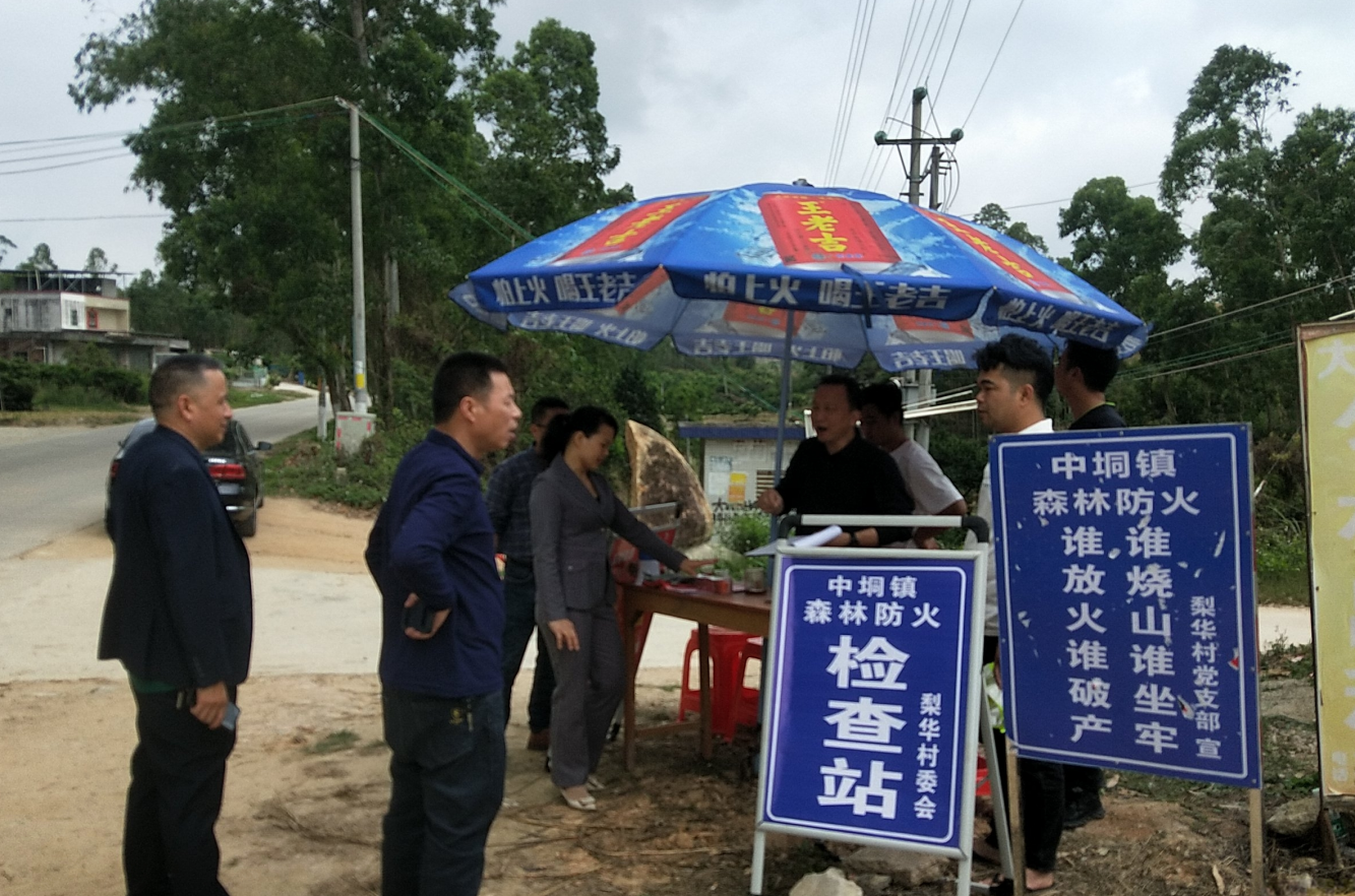 中垌镇交通升级助力地方发展最新报道