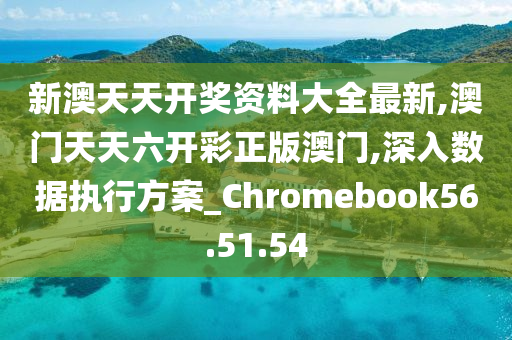 新澳天天开奖免费资料查询,科学化方案实施探讨_Chromebook95.583