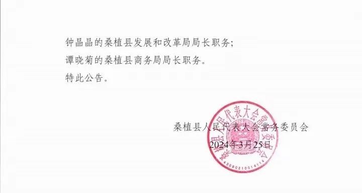 桑植县初中人事任命揭晓，引领教育改革新篇章