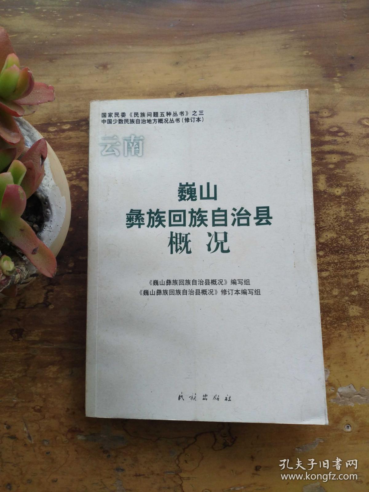 巍山彝族回族自治县民政局最新发展规划概览