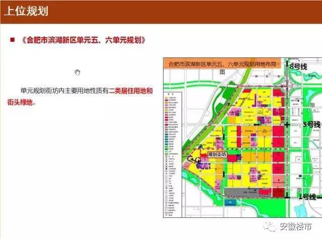 霞山区小学迈向未来教育蓝图，最新发展规划揭秘