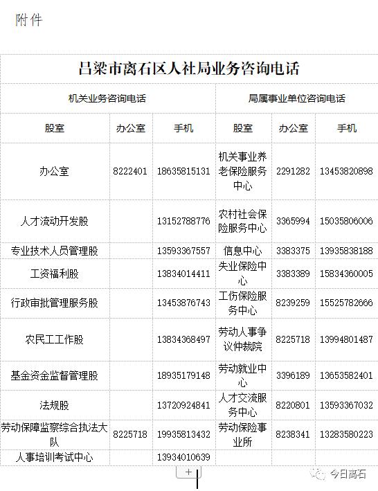 离石区人社局最新招聘信息全面解析