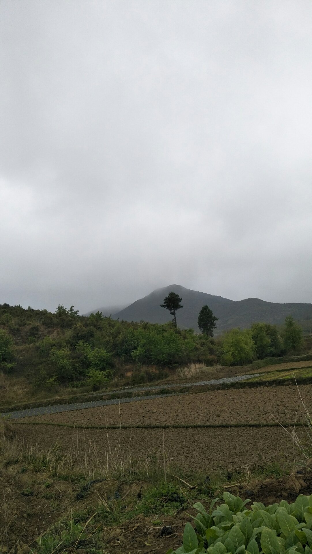 山化乡天气预报更新通知