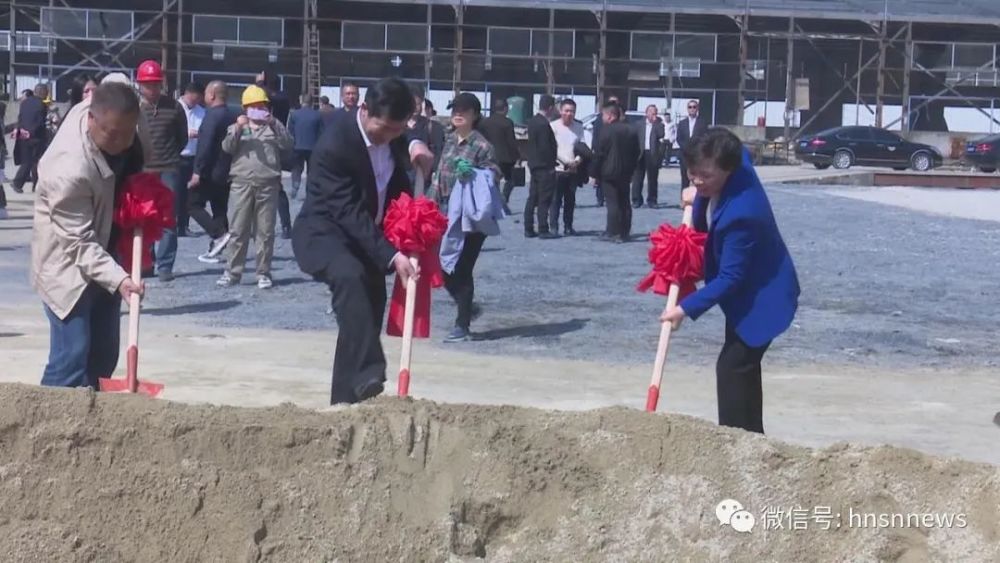 绥宁县体育局新项目启动，县域体育事业迈向新高度