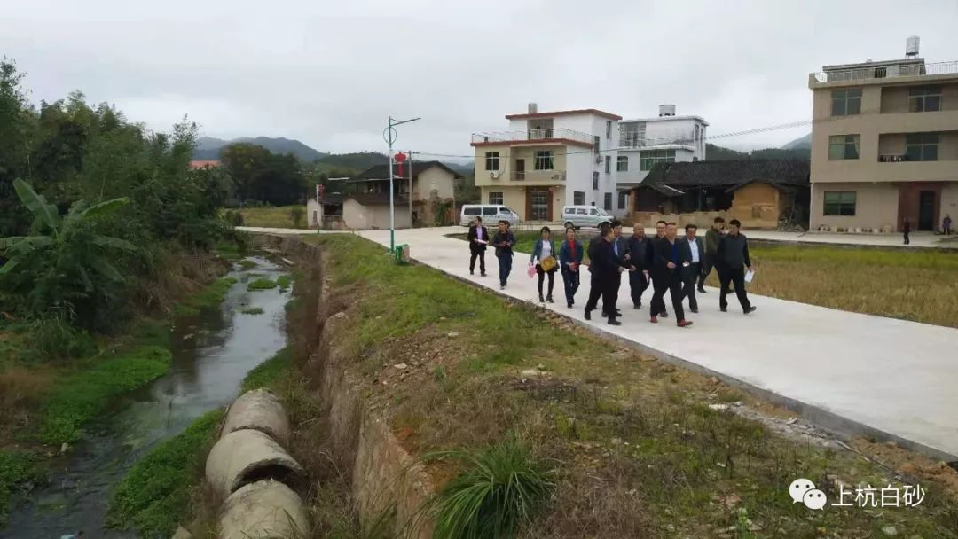 冰忆飘雪